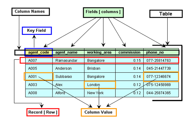 dbCompo2