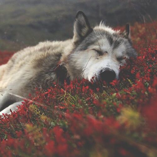 3edbfc3e 2d43 4804 9631 f2933a785b33