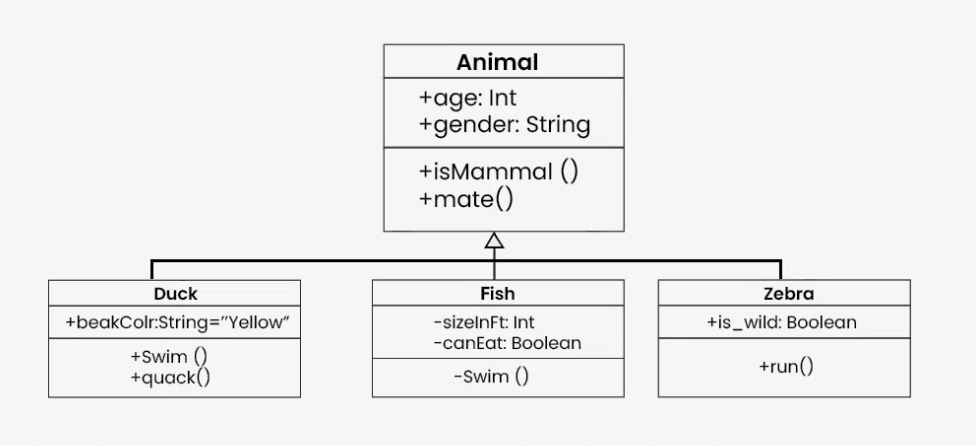 UML Class  Diagram